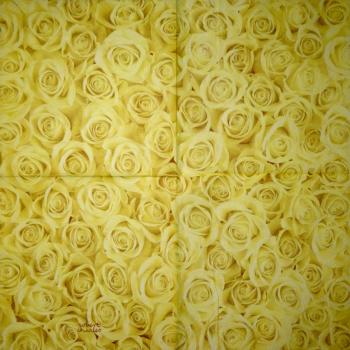 204 Rosen - 3-lagig (204 grau) - Robert Charles
